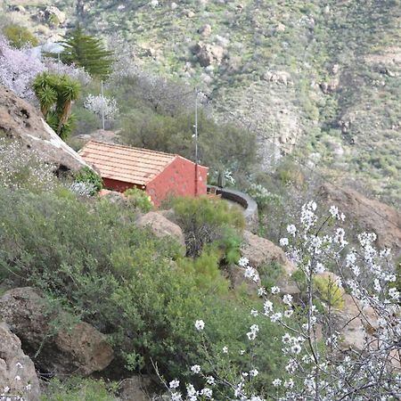 Casa Cueva El Pedregal Tejeda 빌라 외부 사진