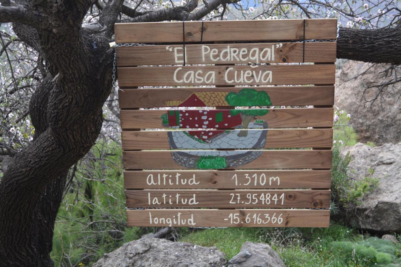 Casa Cueva El Pedregal Tejeda 빌라 외부 사진