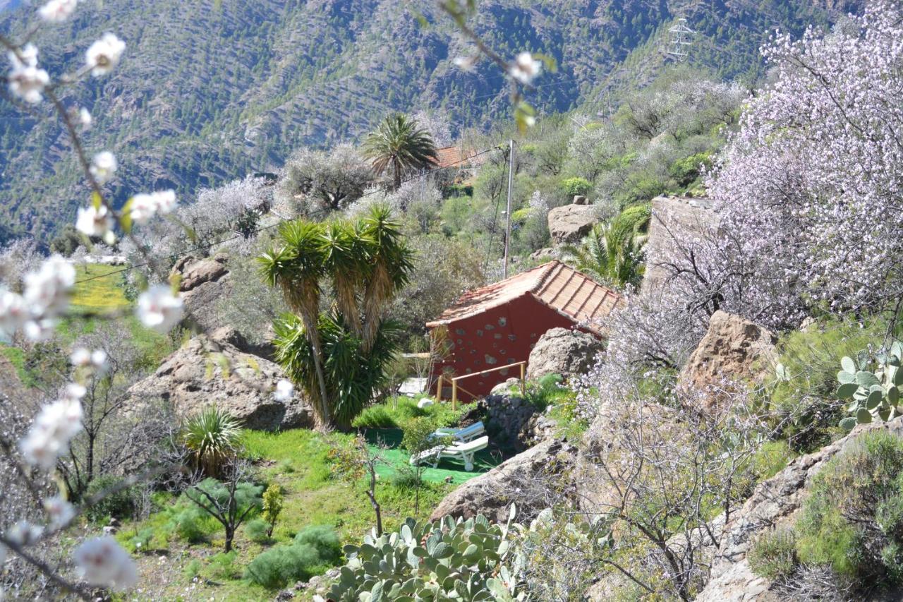 Casa Cueva El Pedregal Tejeda 빌라 외부 사진