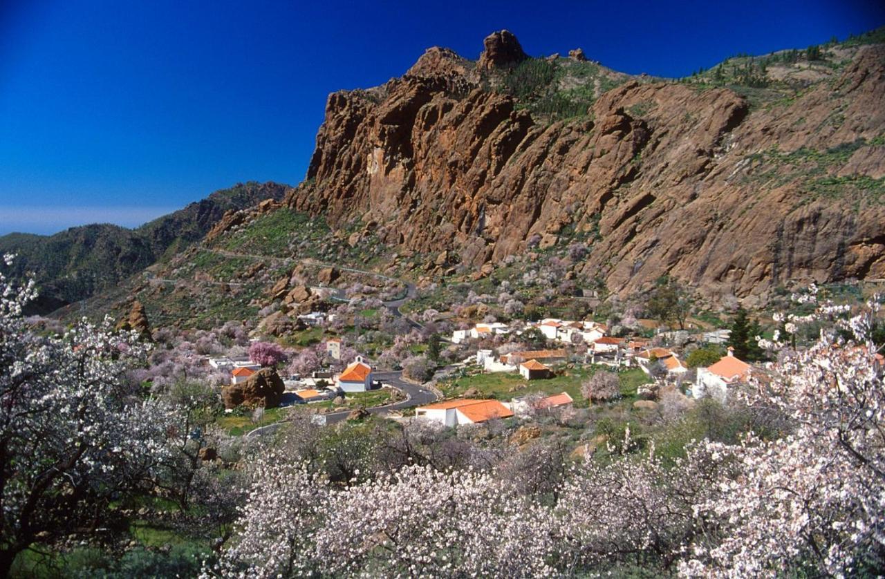 Casa Cueva El Pedregal Tejeda 빌라 외부 사진