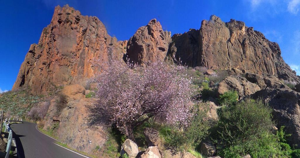 Casa Cueva El Pedregal Tejeda 빌라 외부 사진